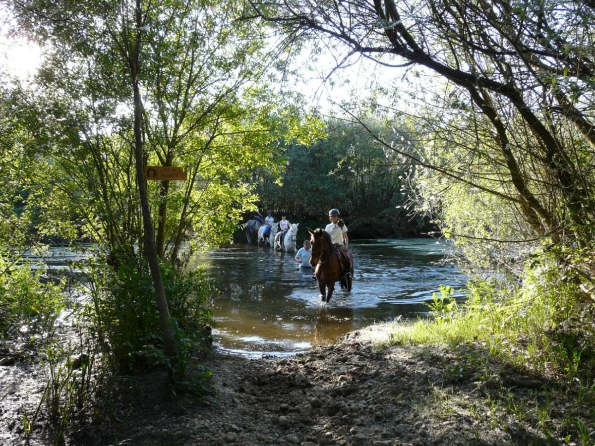 Complejo Oasis Beach Sobre El Rio Huerta  외부 사진