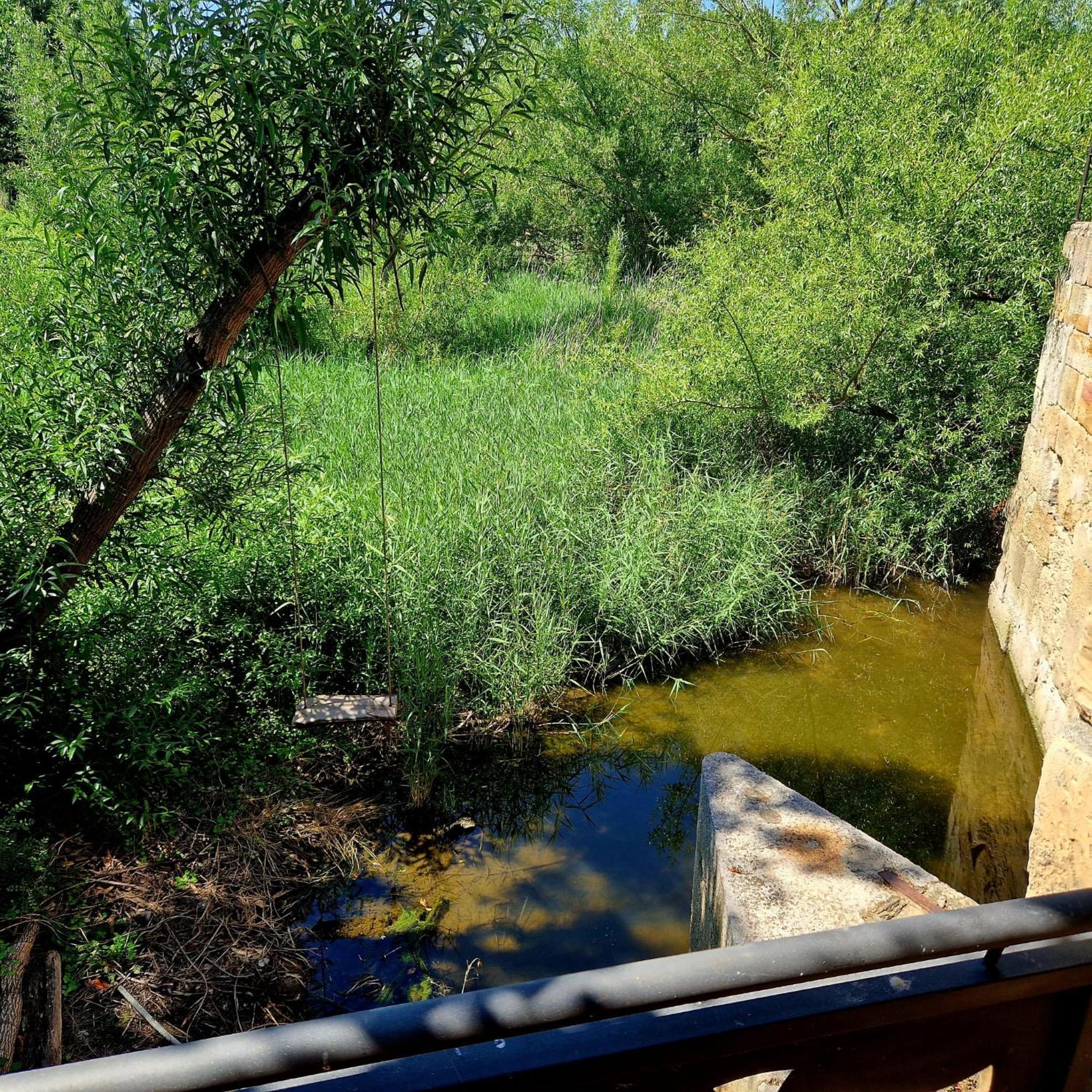 Complejo Oasis Beach Sobre El Rio Huerta  외부 사진